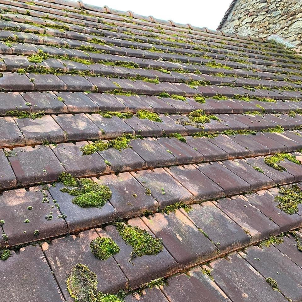 Nettoyage de toiture et d&eacute;moussage image 4