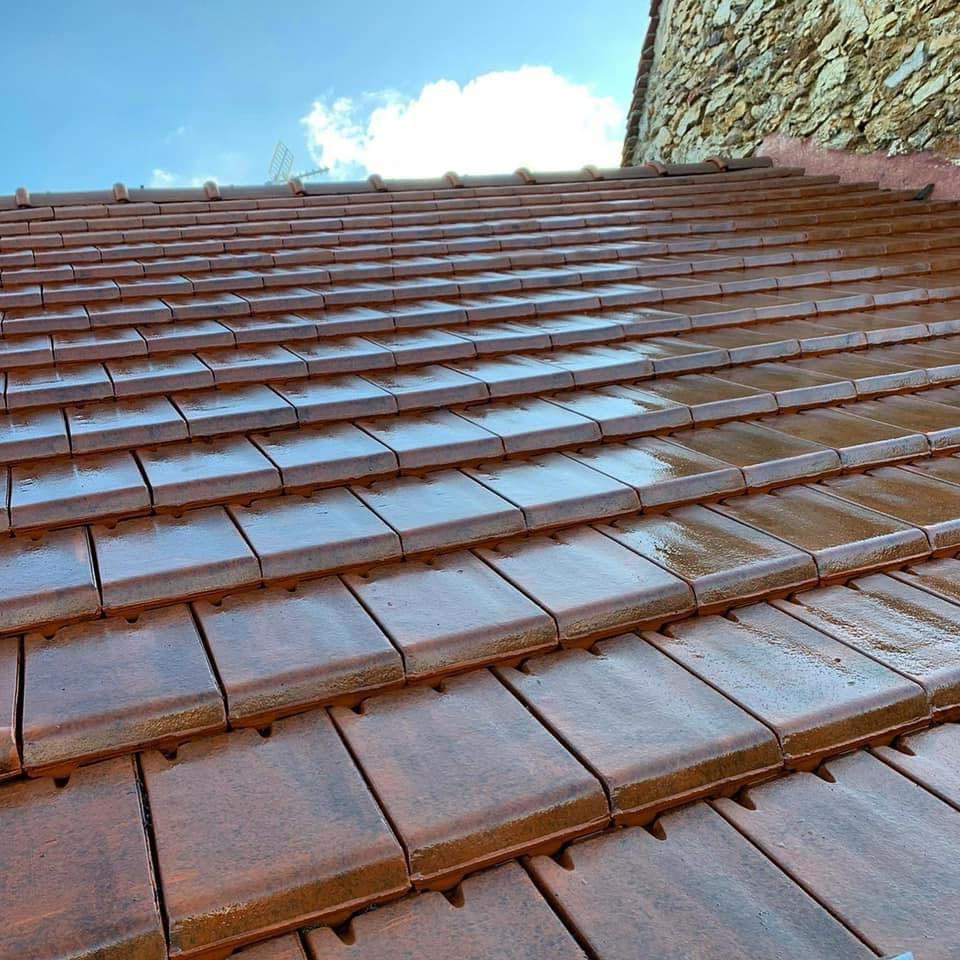 Nettoyage de toiture et d&eacute;moussage image 3